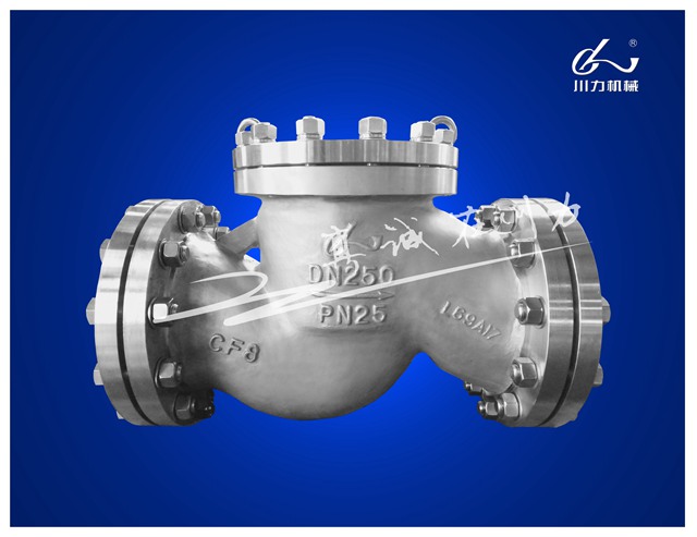 DN250 PN25（正面）.jpg